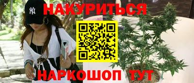 гашик Владивосток