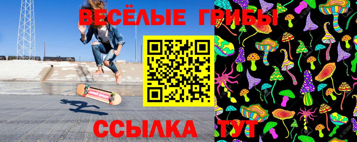 Псилоцибиновые грибы MAGIC MUSHROOMS Алейск