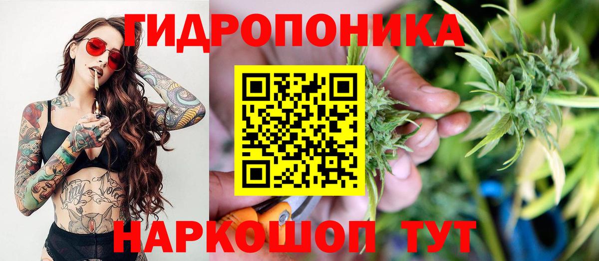 Алейск  Лсд 25  ЭКСТАЗИ  ГАШ  Вход с VPN  МЕФ   Гашиш  Cocaine  Конопля  МЕТАМФЕТАМИН 